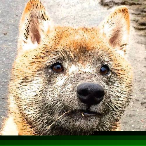 曼城客场大胜,卫冕冠军气势如虹,曼城比赛视频