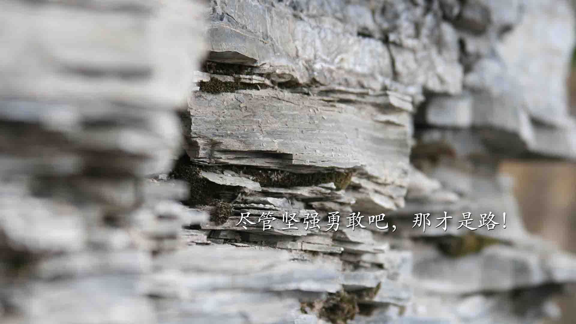 中国青少年篮球运动员身体机能发展规律及训练指导，青少年篮球运动员体能素质训练的原则