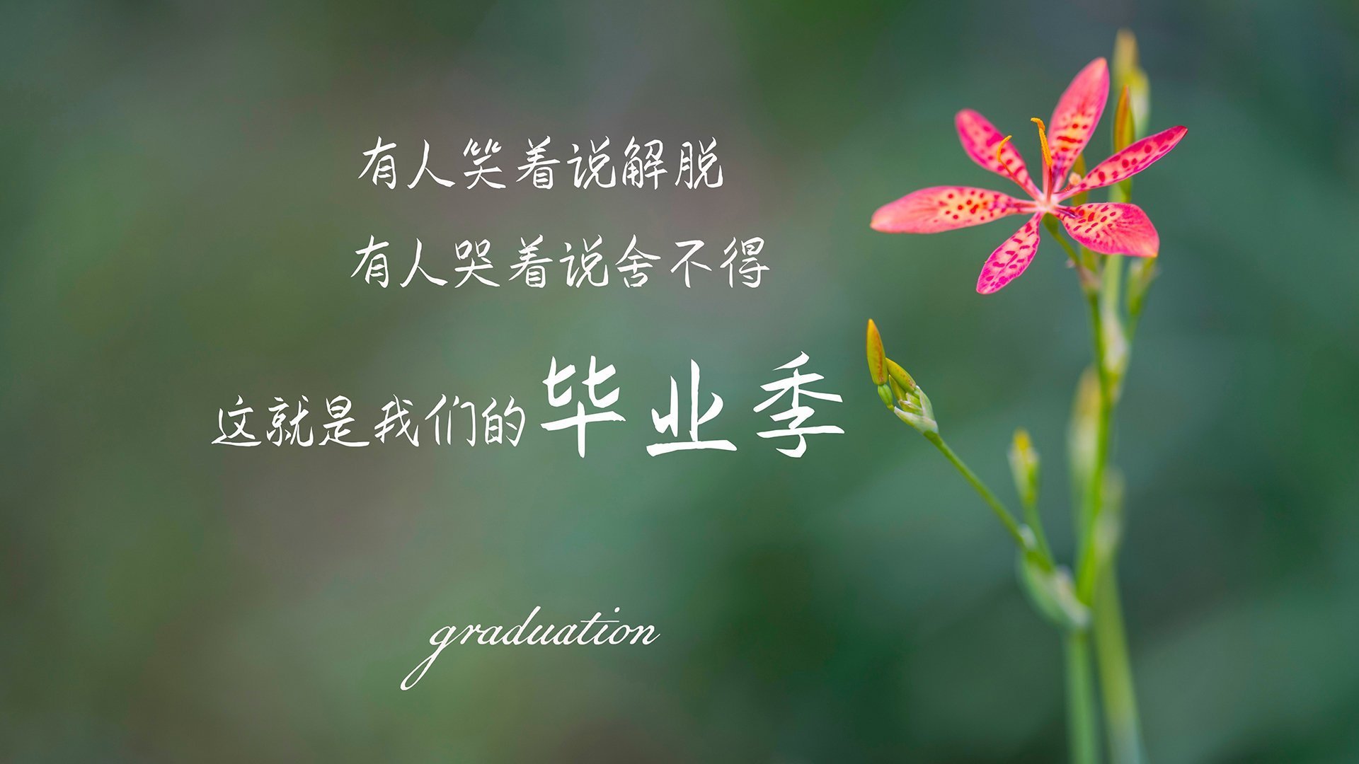 法国国家德比：巴黎圣日耳曼VS里昂，焦点战役，巴黎圣日耳曼对阵里昂