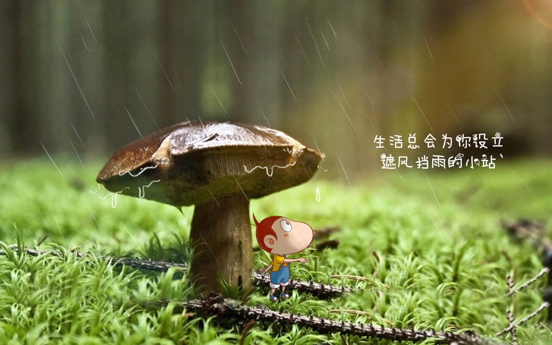 AYX体育官网-英超青训中心心理压力管理新方法促进球员成长，英超青训怎么算