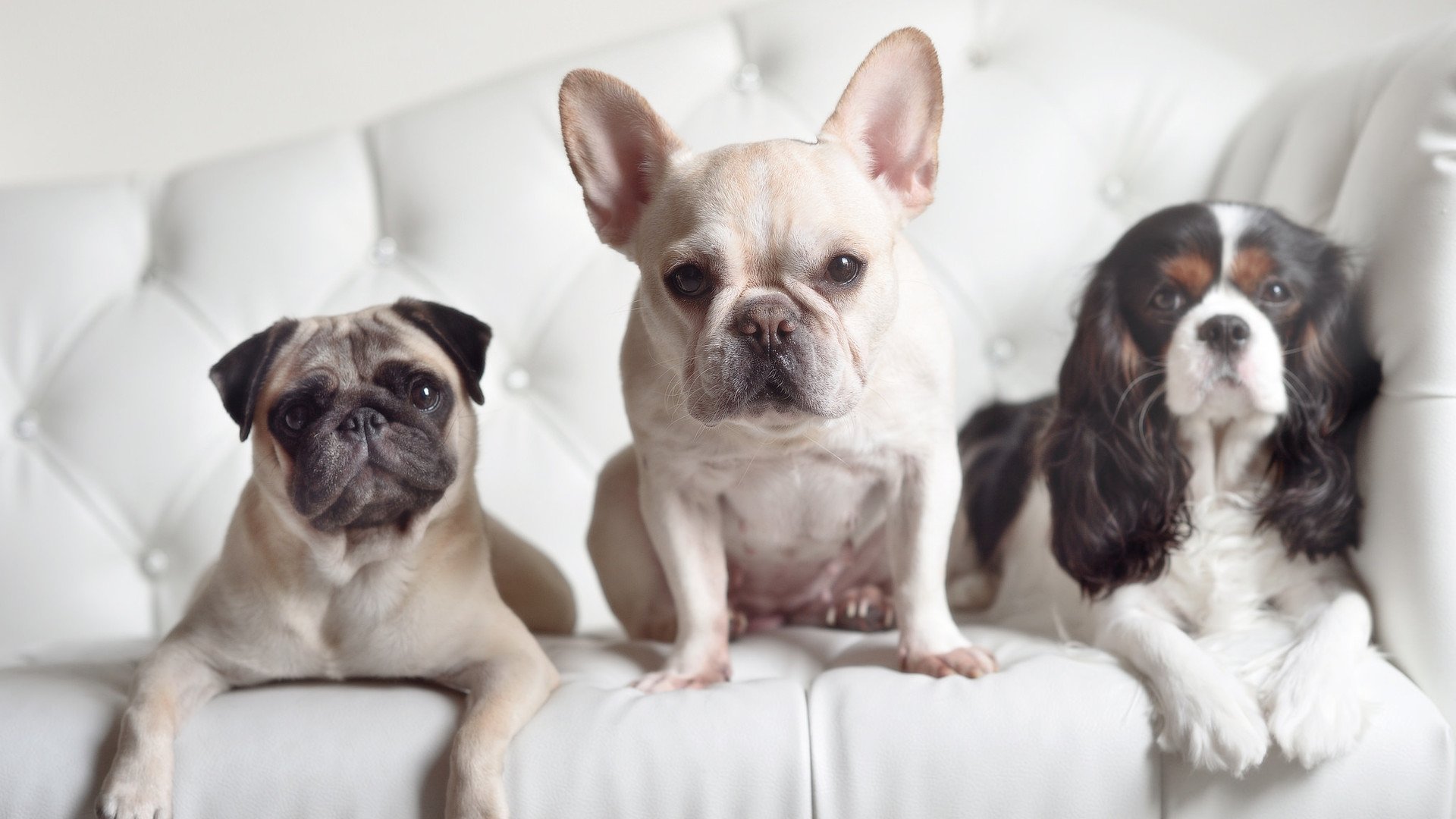 体育新闻中心上线智能赛事语音转写发布系统，体育新闻赛况