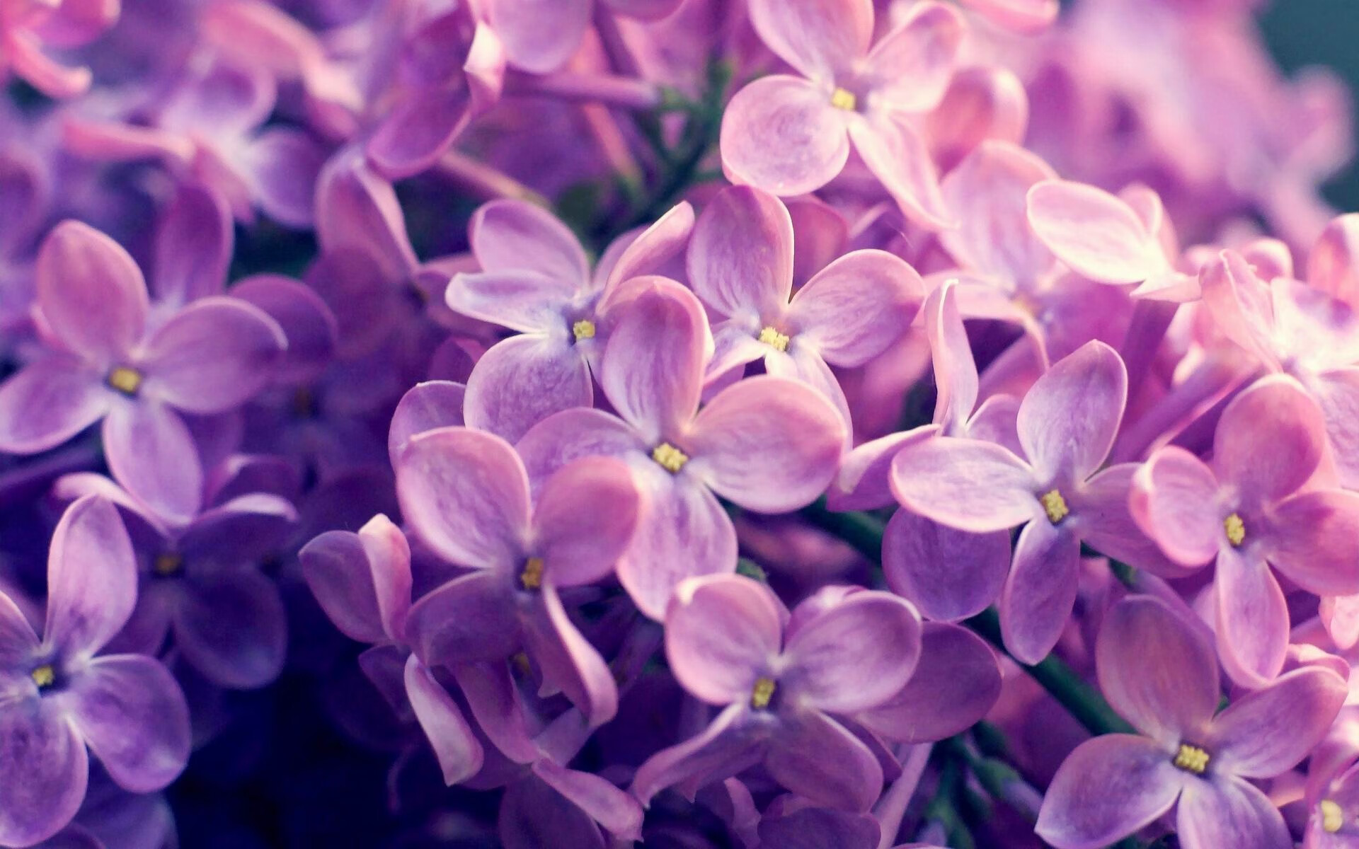 巴黎通过阵型变化破解对方限制,巴黎球队阵型