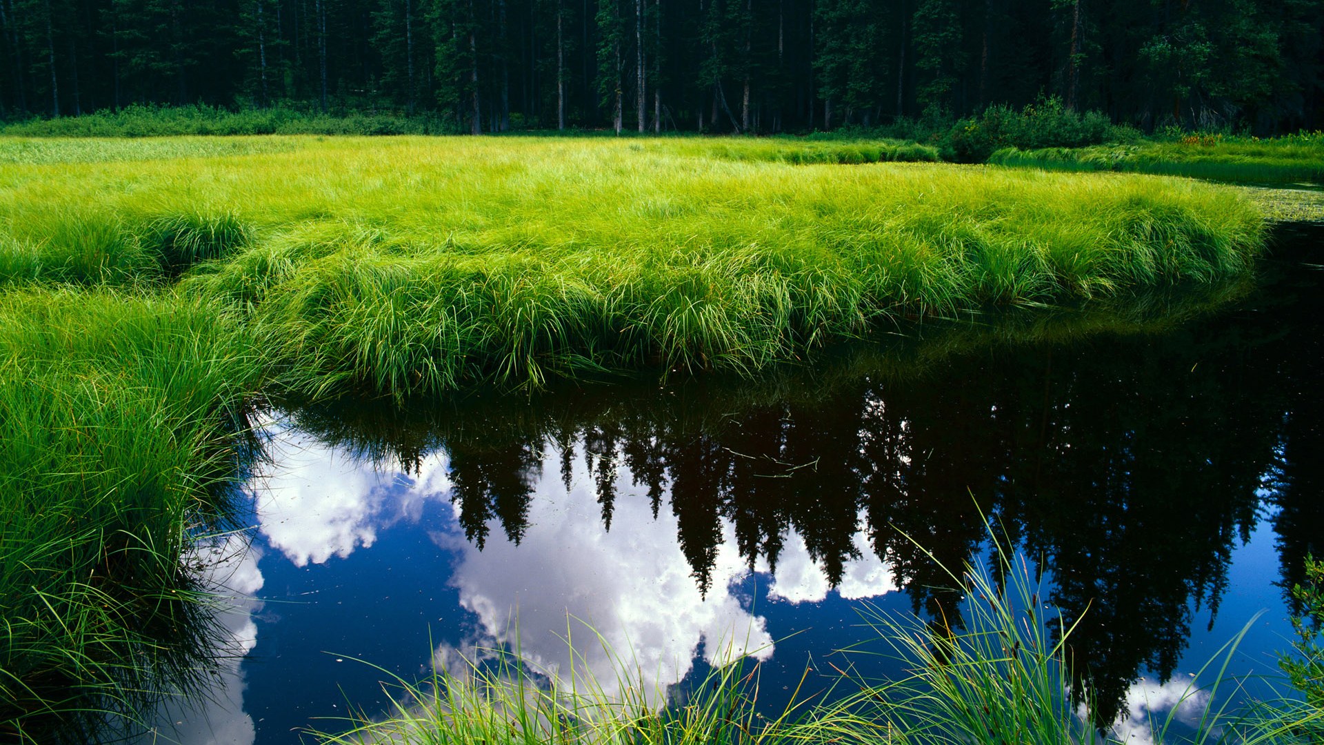 AYX GAME-恩比德突破上篮七六人伤病名单更新，nba恩比德伤势如何