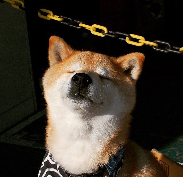 爱游戏娱乐平台-拉恩：全黑队外线的“闪电快马”，他总能在最短时间内突破对方防线